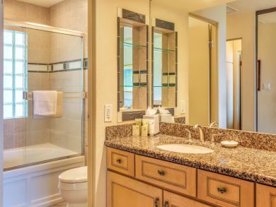 Kapalua Condo 896358